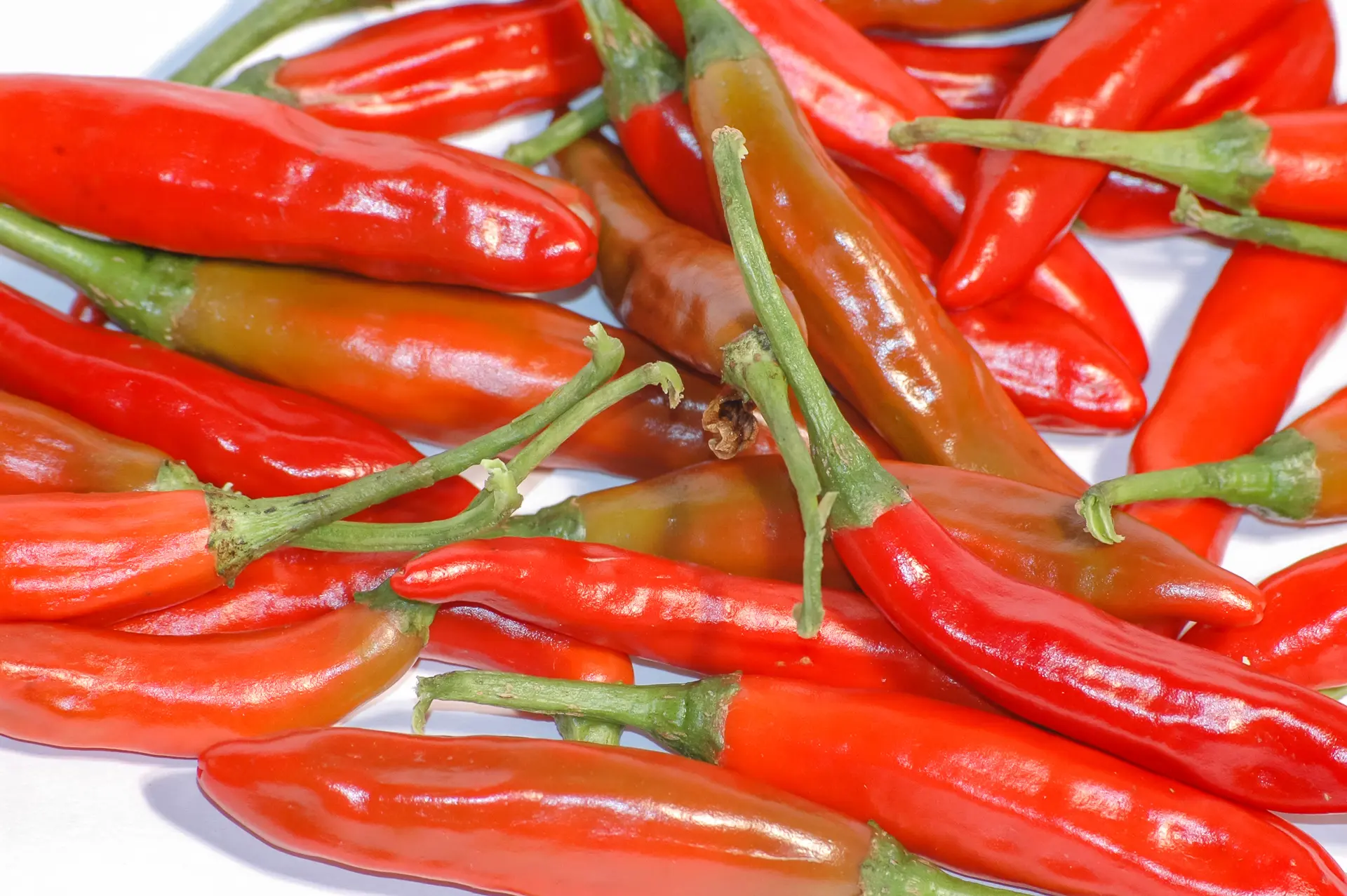 CHILE PIMIENTO