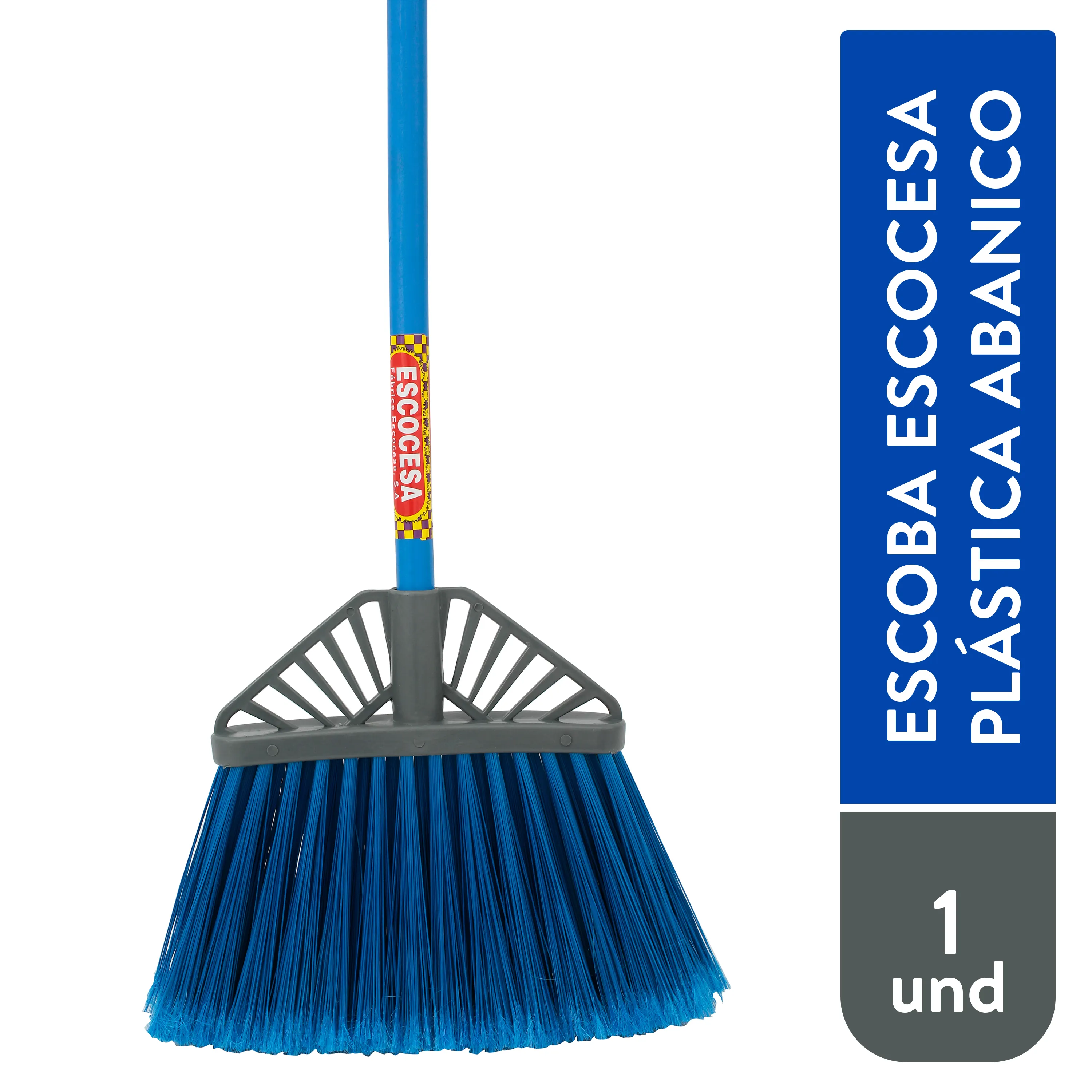 ESCOBA ESCOSESA
