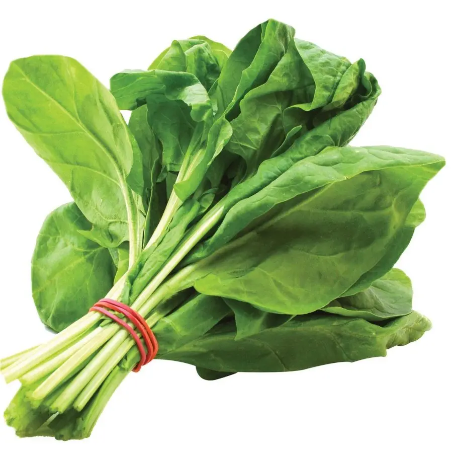 ESPINACA 