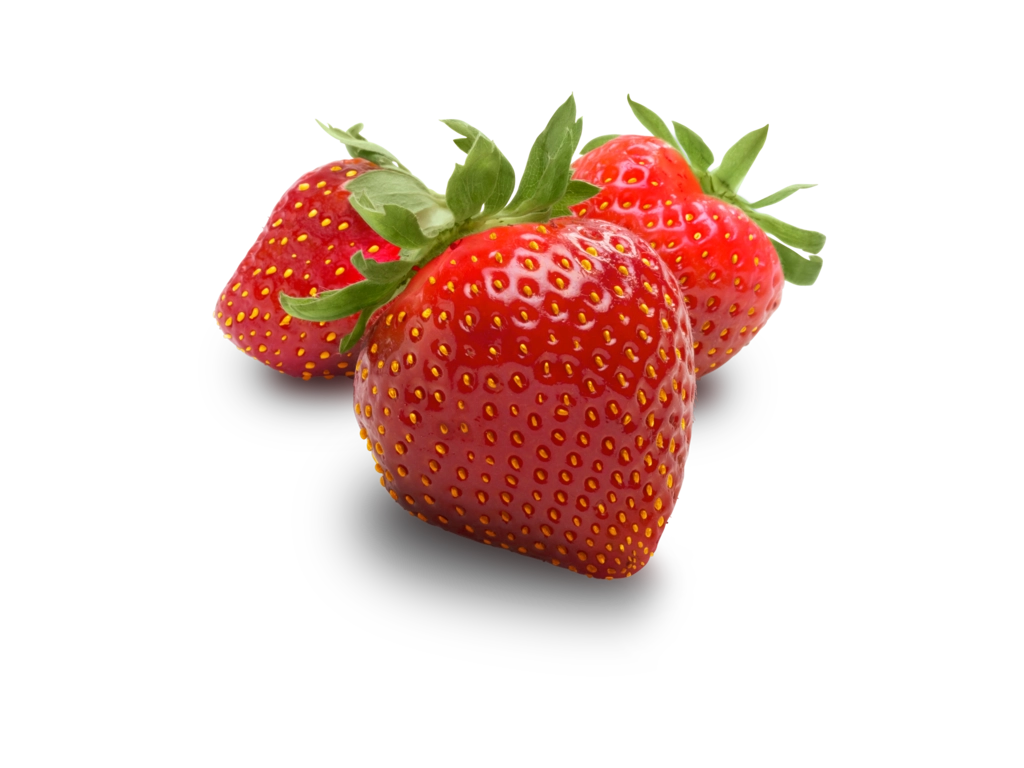 FRESAS