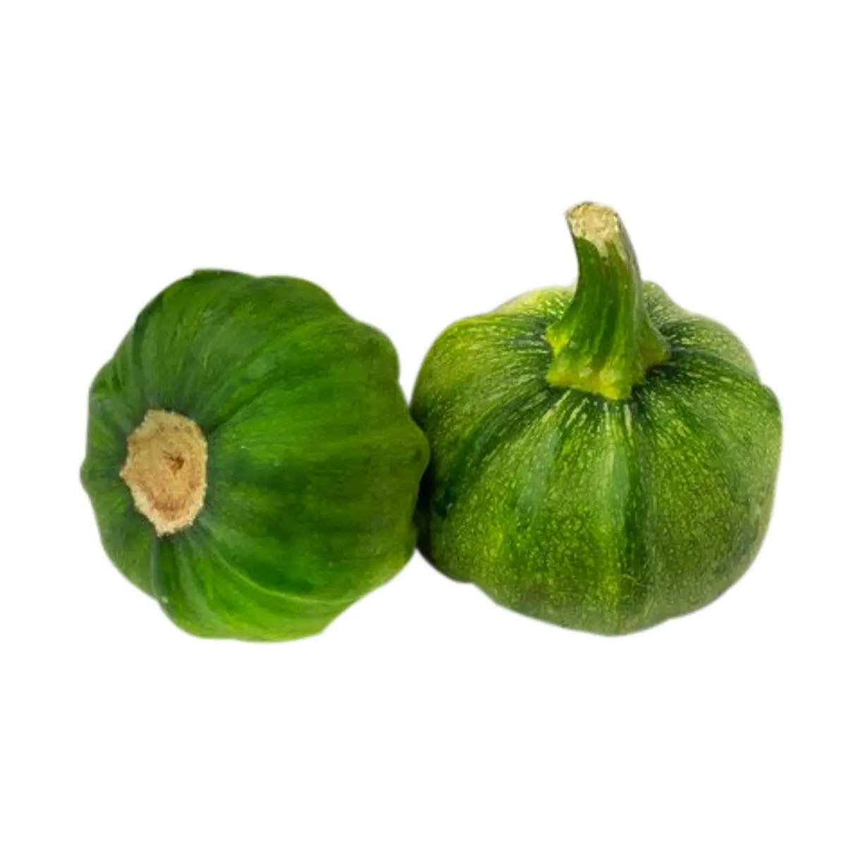 GUICOYITOS