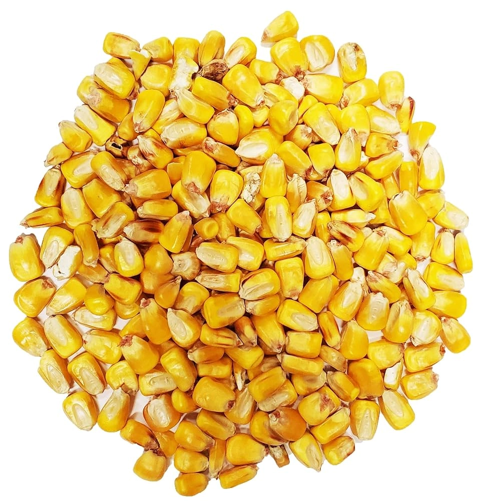 MAÍZ EN GRANO LIBRA