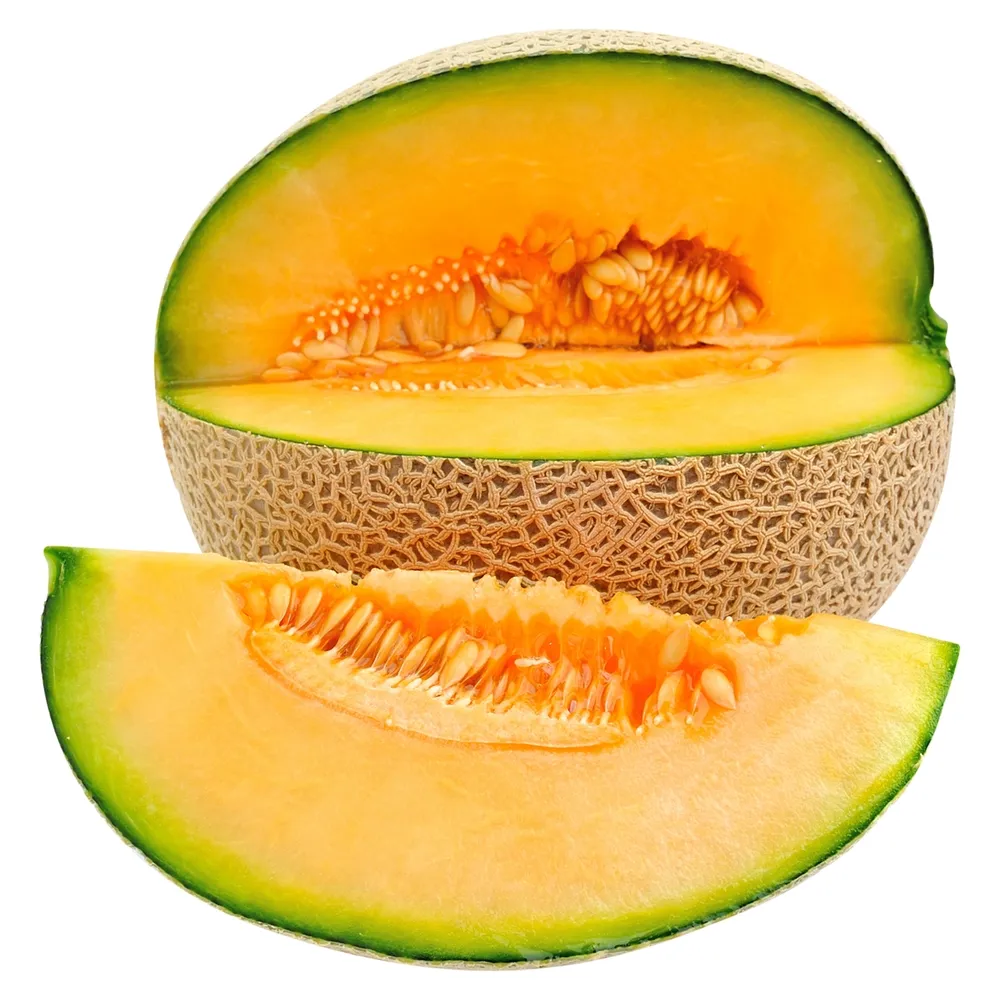 MELON