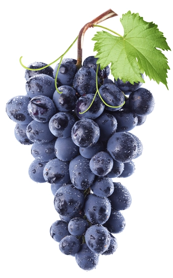 UVAS